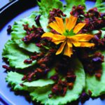 Fresh Herb Magic: Revive Any Dish with Vibrant Flavor